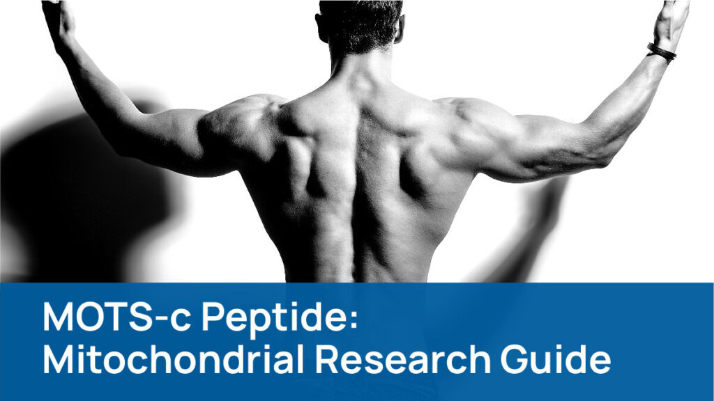 MOTS-c mitochondrial peptide research guide banner - Researched Peptides