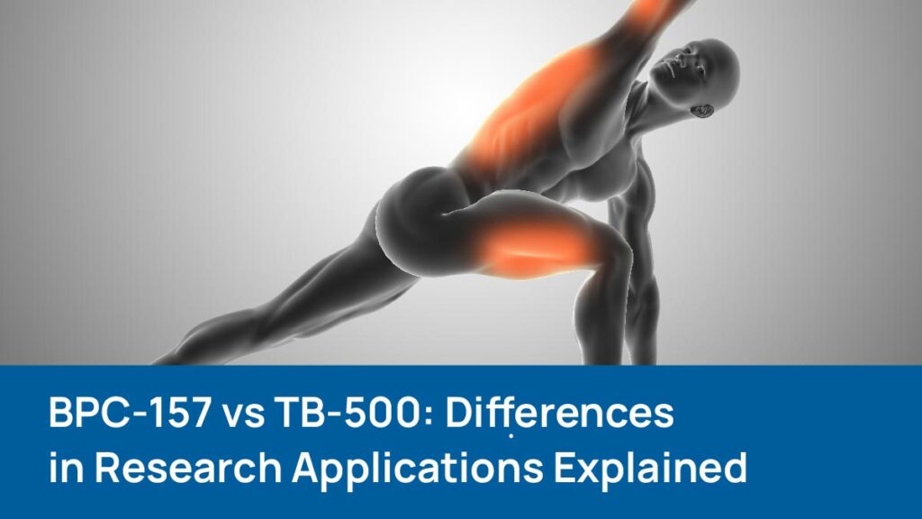 BPC-157 vs TB-500 research applications for tissue and connective tissue studies