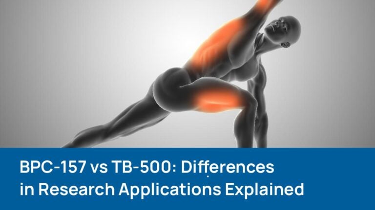BPC-157 vs TB-500 research applications for tissue and connective tissue studies
